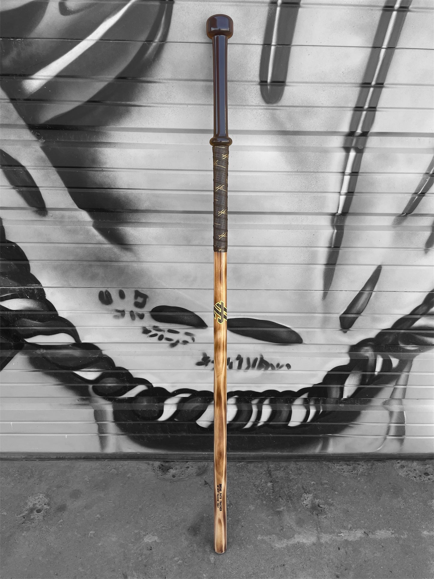 HC Bat Company 52 inch Swing Path Trainer with extended handle and wrapped grip designed for baseball swing mechanics, barrel awareness, hand control and hitting drills