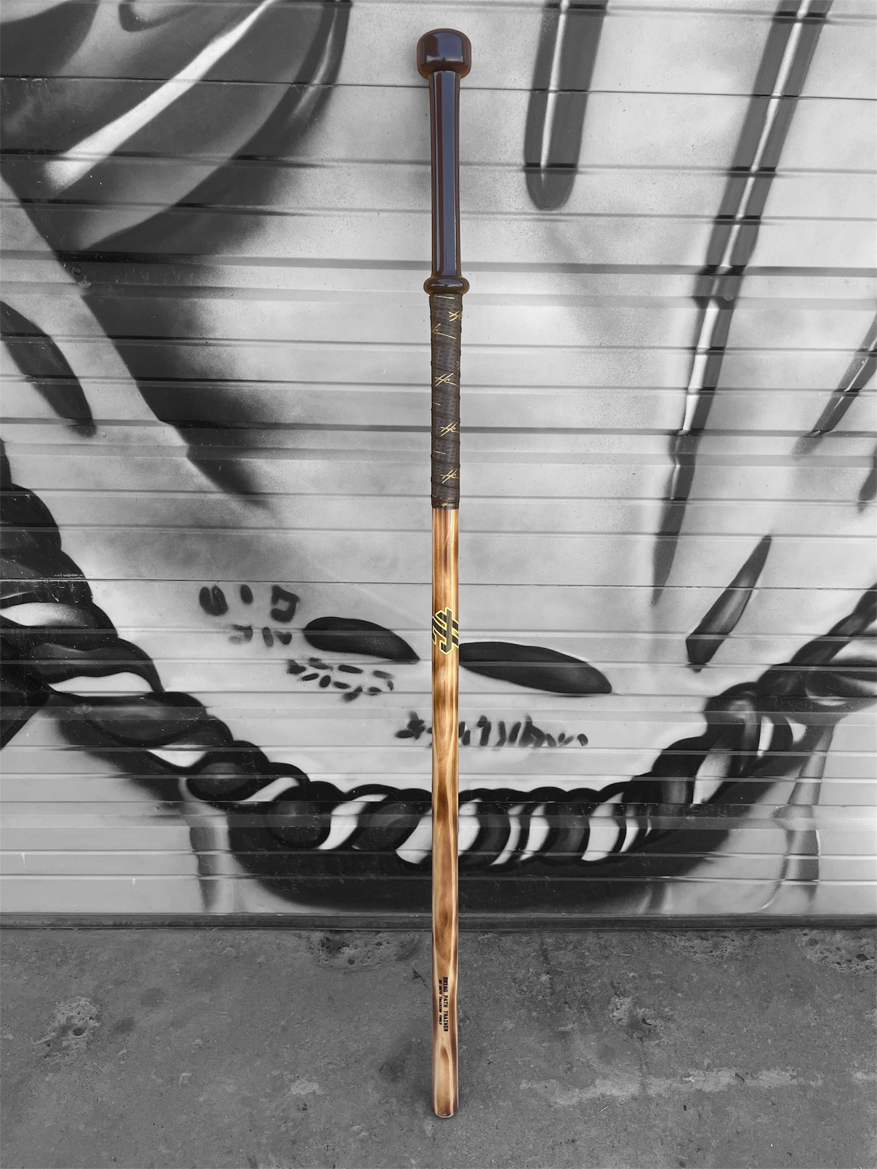 HC Bat Company 52 inch Swing Path Trainer with extended handle and wrapped grip designed for baseball swing mechanics, barrel awareness, hand control and hitting drills
